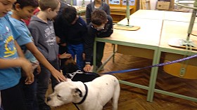 IMG_20161004_131926.jpg