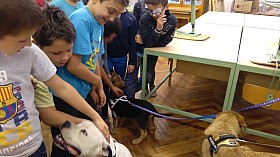 IMG_20161004_131931.jpg