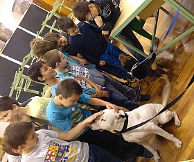 IMG_20161004_131943.jpg