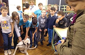 IMG_20161004_132023.jpg