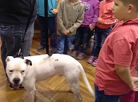 IMG_20161004_132334.jpg