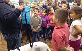 IMG_20161004_132339.jpg