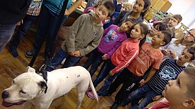IMG_20161004_132351.jpg