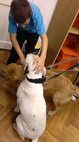 IMG_20161004_132440.jpg