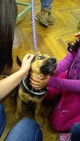 IMG_20161004_132613.jpg