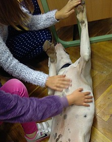 IMG_20161004_133229.jpg