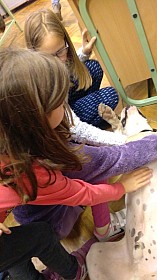 IMG_20161004_133232.jpg