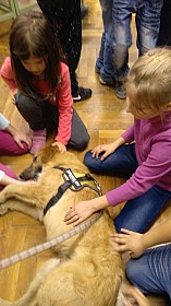 IMG_20161004_133520.jpg