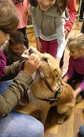 IMG_20161004_133556.jpg