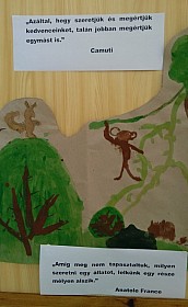 IMG_20161005_130845.jpg