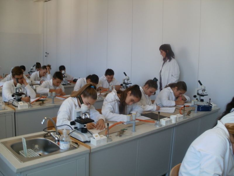 PA280017.JPG