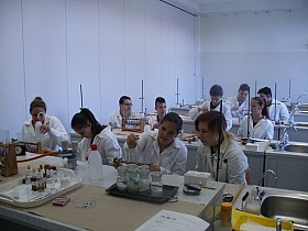 PA280014.JPG