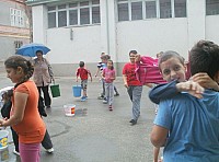 P6130053.JPG