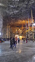 20160425_103154_LLS.jpg
