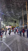20160425_103236_LLS.jpg