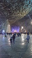 20160425_103656_LLS.jpg