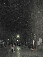 IMG_0034.JPG