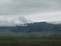 IMG_0008.JPG