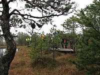 IMG_0041.JPG