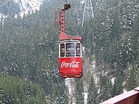 IMG_0043.JPG