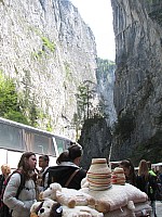 IMG_0031.JPG