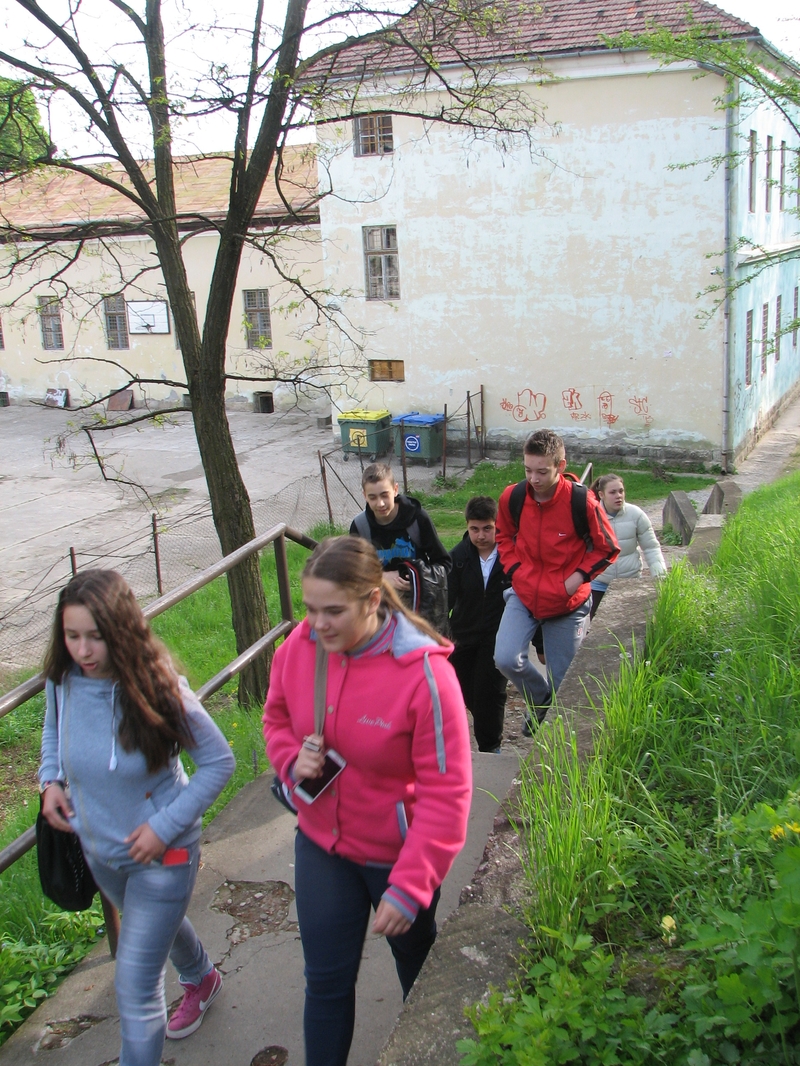 IMG_0005.JPG