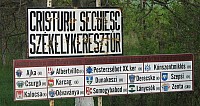IMG_0008.JPG