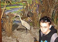IMG_0089.JPG