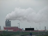 IMG_0019.JPG