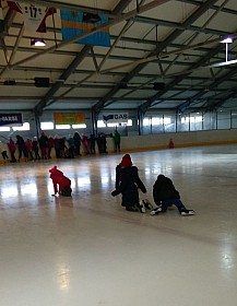 IMG_20161214_093542.jpg