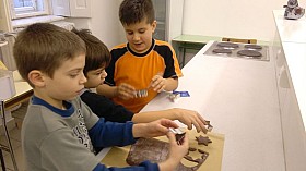 IMG_20161219_110106.jpg