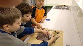IMG_20161219_110156.jpg