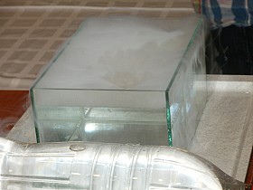 PB250065.JPG