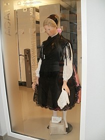 PB250112.JPG