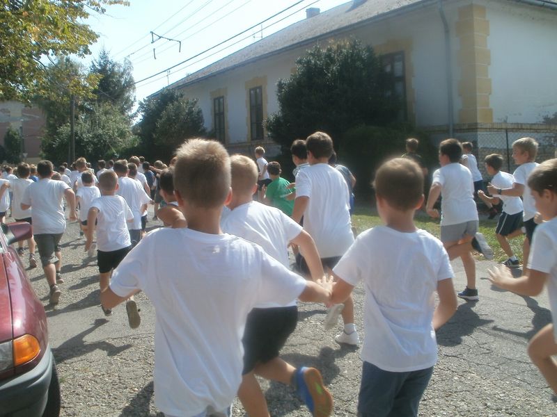 P9160020.JPG