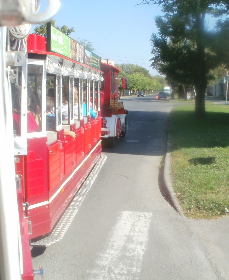 P9300020.JPG