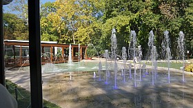 20160926_114947.jpg