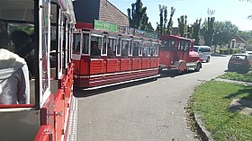 20160926_115627.jpg