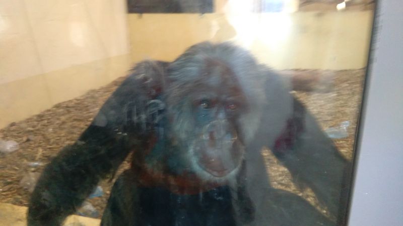 IMG_20170530_123435.jpg