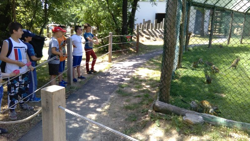 IMG_20170530_132506.jpg
