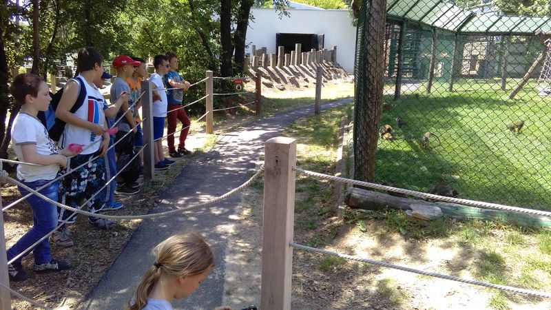 IMG_20170530_132513.jpg