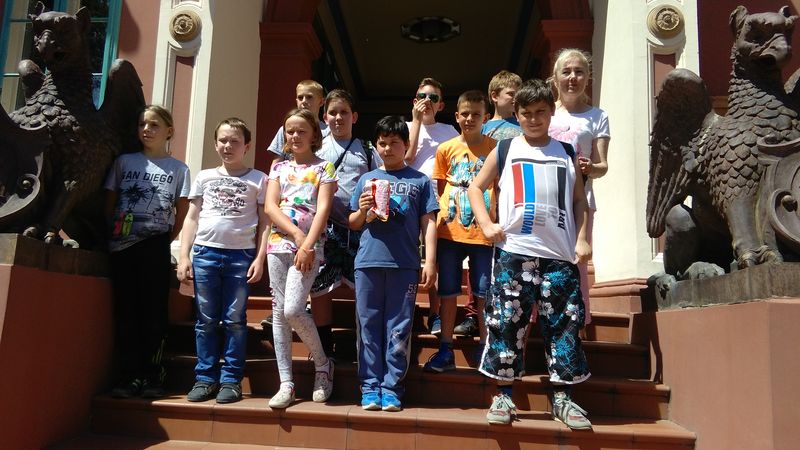 IMG_20170530_141554.jpg