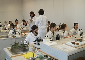 P1060001.JPG