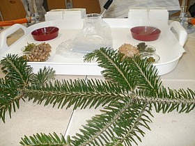 P1060002.JPG