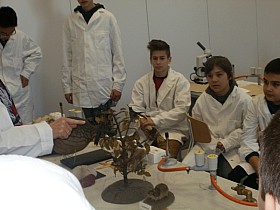 P1060003.JPG