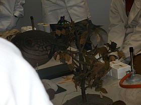 P1060004.JPG