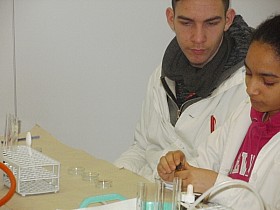 P1060011.JPG