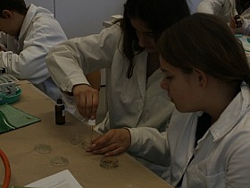 P1060012.JPG