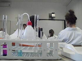 P1060033.JPG