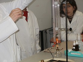 P1060041.JPG